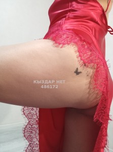 Проститутка Караганды Девушка№486172 Айдана Фотография №3802752