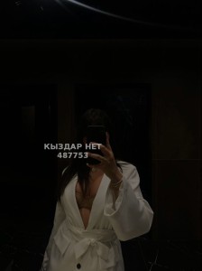 Проститутка Астаны Девушка№487753 Dinara Фотография №3835953