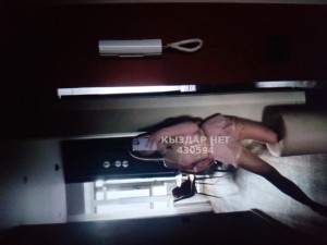 Проститутка Шымкента Девушка№430594 Малышка до обеда в Шым Фотография №3921838