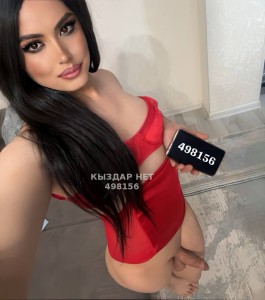 Транс Шымкента Транс№498156 Nihan-до завтра успеете Фотография №3754447