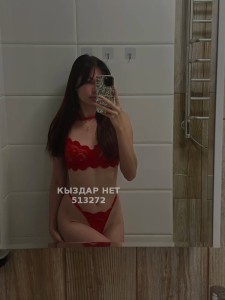 Проститутка Алматы Анкета №513272 Фотография №3830981